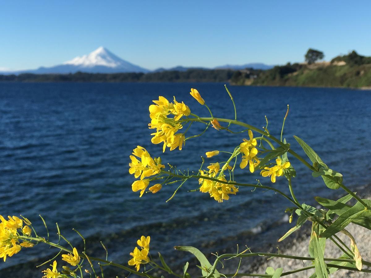 Cabanas Puerto Chalhuaco Puerto Varas Ngoại thất bức ảnh